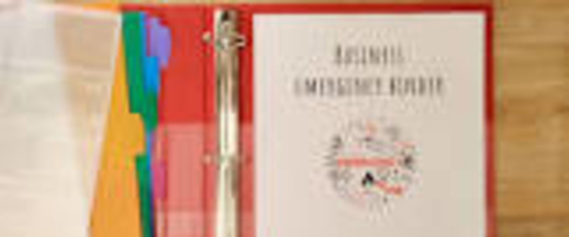 A Guide to Organizing Financial Documents for Small Businesses